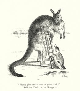 Die Ente und das Känguru (Gravur) von William Foster