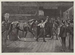 Auf der Pferdeschau, beladen mit Ehren von William Frank Calderon