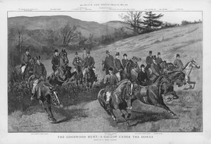 Die Goodwood-Jagd - ein Galopp unter den Sussex Downs