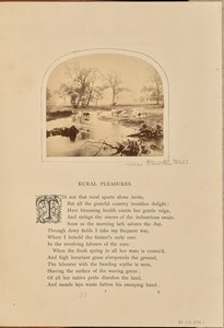 Pastorale Szene mit Vieh auf einem überfluteten Feld, England von William Grundy
