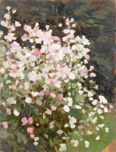 Rosa Blumen von William Gunning King