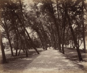 Picknickplatz