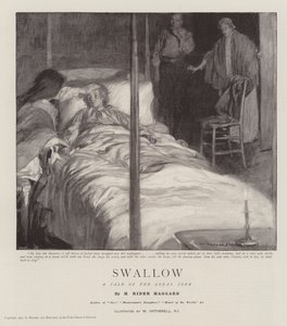Schwalbe, Eine Geschichte des Großen Trecks von William Hatherell
