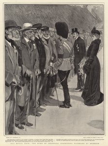 Die königliche Tour, der Herzog von Cornwall inspiziert Veteranen in Dunedin von William Hatherell
