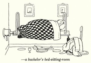 Ein Junggesellen-Wohn-Schlafzimmer