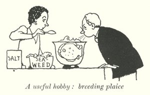 Ein nützliches Hobby, Scholle züchten (Lithografie)