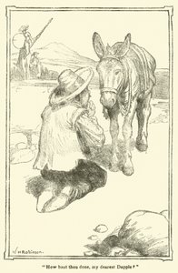 Illustration für Don Quijote von William Heath Robinson