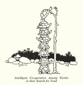 Intelligente Zusammenarbeit unter Schildkröten bei der Nahrungssuche von William Heath Robinson