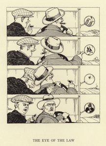 Das Auge des Gesetzes
