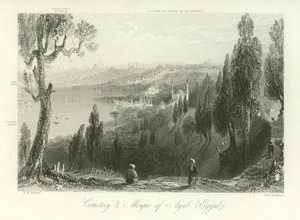 Friedhof und Moschee von Ayub, Konstantinopel von William Henry Bartlett