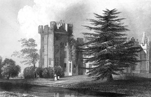 Faulkbourn Hall, bei Whitham, Essex, graviert von Henry Wallis, 1832 von William Henry Bartlett