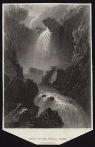Kopf des Devil