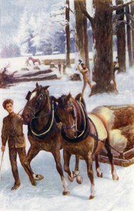 "Einige fällten Bäume, andere zogen mit Pferden die Stämme auf Schlitten über den harten Schnee"