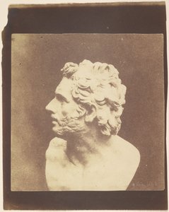 [Büste des Patroklos] von William Henry Fox Talbot