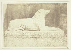 Abbild von Sir W. Scotts Lieblingshund Maida, neben der Haustür in Abbotsford