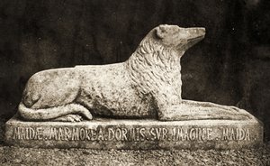 Statue von Maida, berichtet als Lieblingshund von Sir Walter Scott