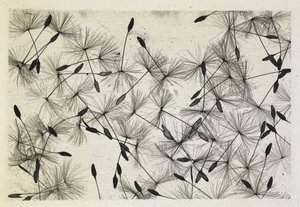 Talbot Foto 24 1730 von William Henry Fox Talbot