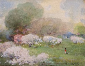 Kirschblüten, n.d.