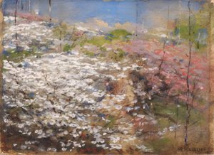 Blumenfeld