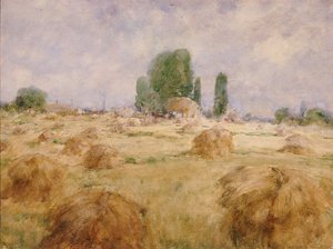 Feld mit Weizenschock