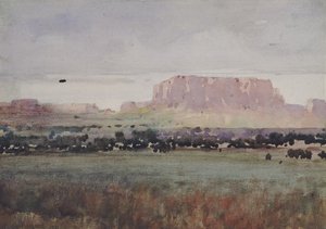 Im Plateau-Land, Colorado