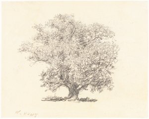 Ein Baum in voller Blüte von William Henry Hunt