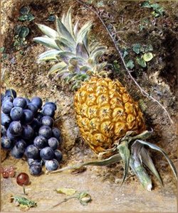Trauben und eine Ananas