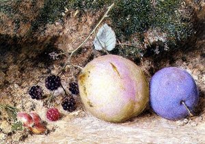 Hagebutten, Brombeeren und Pflaumen