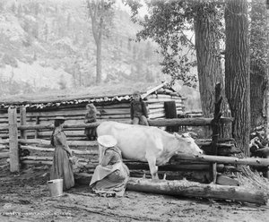 Bergmilchmädchen in Colorado, um 1900 (s/w Foto)