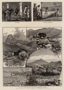 Die Wynaad-Goldfelder, Südindien von William Henry James Boot