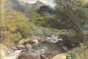 An der Lyn, Nord-Devon von William Henry Millais