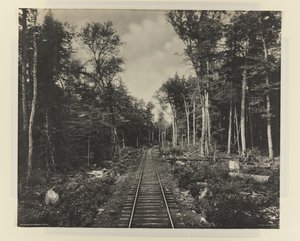 Ganoga Lake Branch, L.V.R.R., um 1899 von William Herman Rau