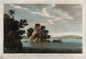 Ansicht eines isolierten Felsens im Fluss Ganges bei Jangerah von William Hodges