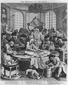 Autopsie oder Die Belohnung der Grausamkeit, aus Die vier Stufen der Grausamkeit, 1751 von William Hogarth