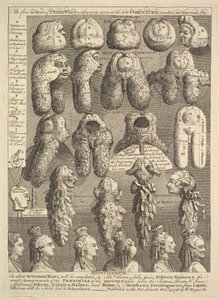Die fünf Ordnungen der Perücken, 1761