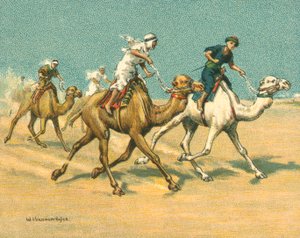 Historische und moderne Rennen, Kamelrennen (Chromolithografie)
