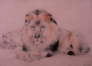 Löwe und Löwin von William Huggins