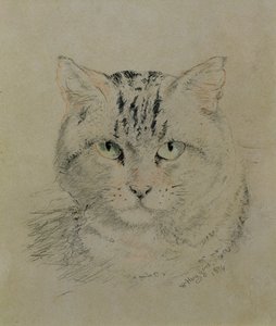 Getigerte Katze, 1874