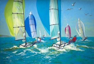 Boote mit gesetzten Spinnakern