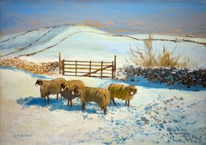 Schnee in den Yorkshire Dales