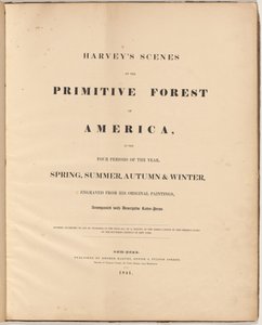 Harveys Szenen des Urwaldes von William James Bennett, after George Harvey
