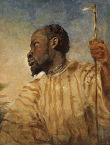 Ein Afrikaner von William James Muller