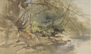 Ansicht in Stapleton Wood, bei Bristol von William James Muller