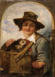 Italienischer Junge mit einem Meerschweinchen