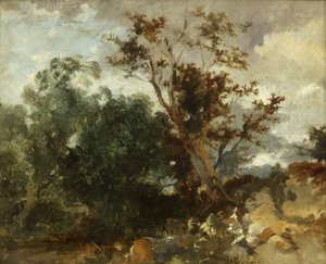 Studie von Bäumen, ca. 1840 von William James Muller
