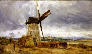 Wallasey-Mühle