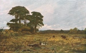 Winterlicher Marsch, 1885