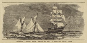 Falmouth Schneiderboote, die einem heimkehrenden Schiff entgegenrennen