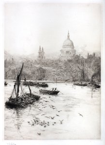 Schiffe und Möwen unterhalb von St. Pauls