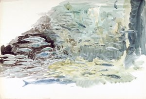 Unterwasseransicht eines Fischschwarms von William Lionel Wyllie